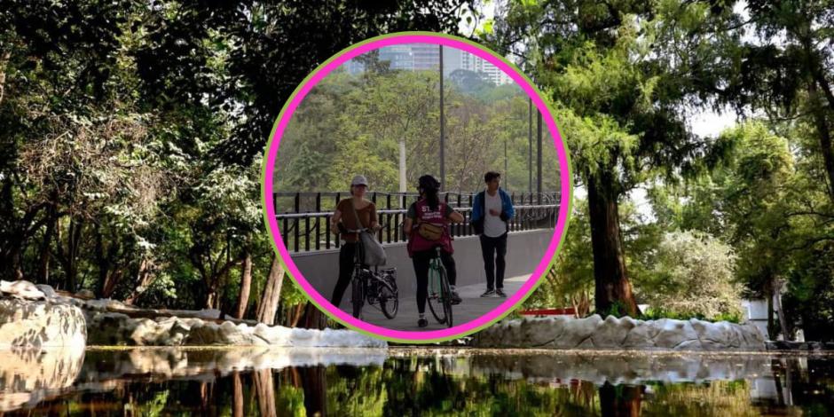 En el Bosque de Chapultepec encontrarás variedad de actividades gratuitas y aptas para toda la familia.