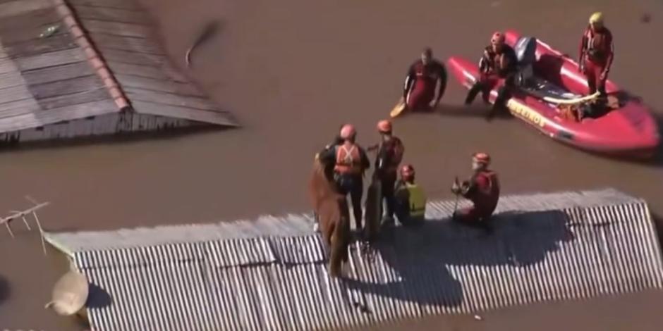 Rescatan a Caramelo, el caballo varado en el techo de casa inundada en Brasil.