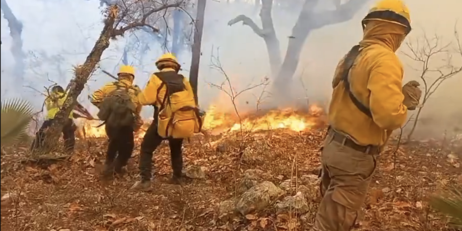 Brigadistas combaten un incendio forestal en Tepelmeme Villa de Morelos, Oaxaca, ayer.