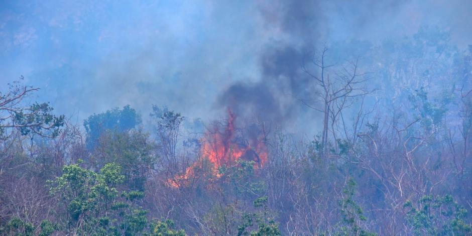 Hay 109 incendios forestales activos en México