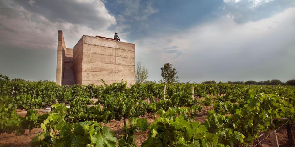 Un campesino observa un viñedo en Guanajuato, en donde las temperaturas son mayores a 30 grados.