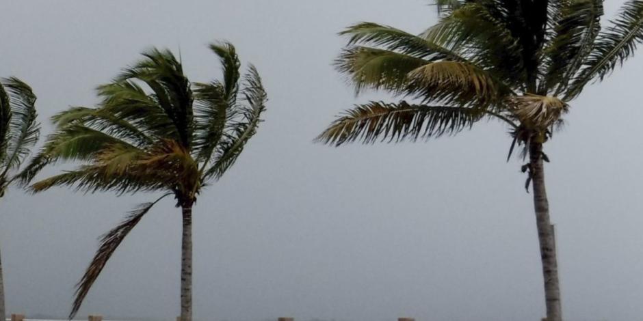 Alertan por un posible nuevo ciclón tropical en el Atlántico