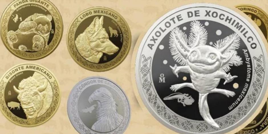 Colección de monedas conmemorativas