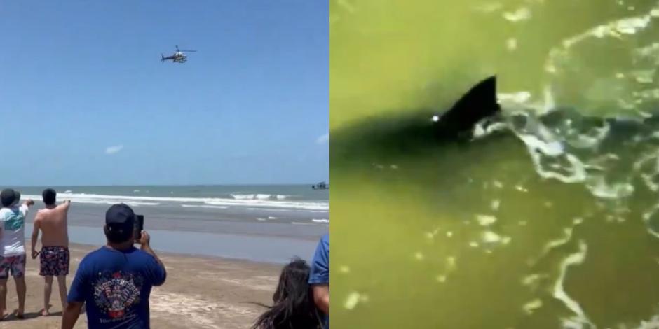 Tiburón ataca a personas durante festejos del 4 de Julio en Isla del Padre, Texas.