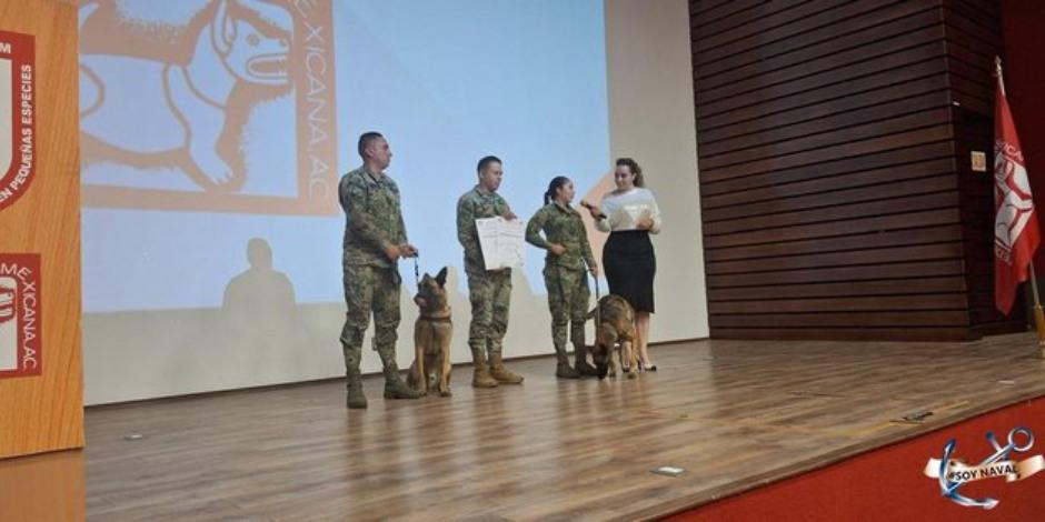 Premian a Hidra y Eros, canes de la Semar, por su servicio a México.