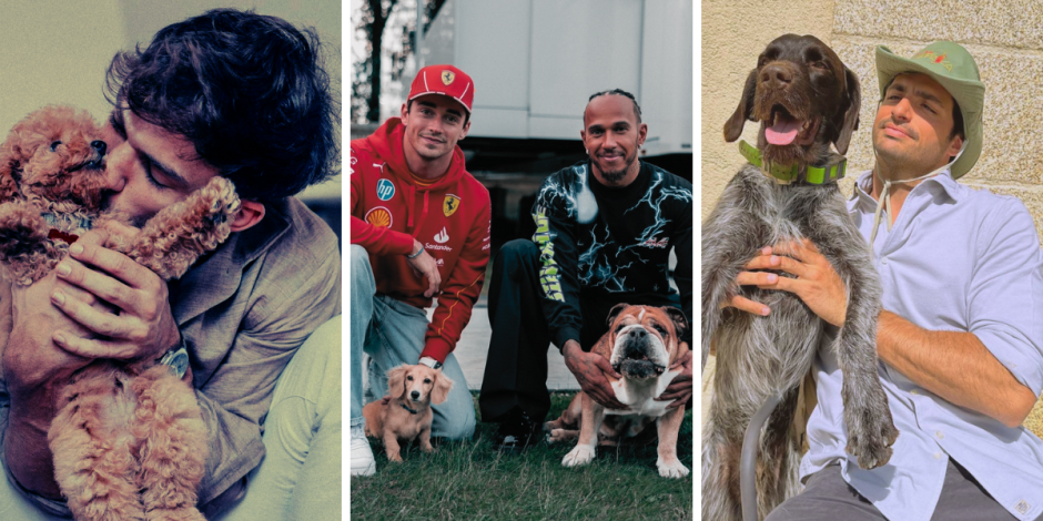 Pilotos de Fórmula 1 celebran a sus perritos en el Día Mundial del Perro