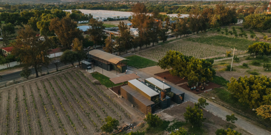 Viñedo Tierra y Almas, ubicado en Tecozautla, Hidalgo.