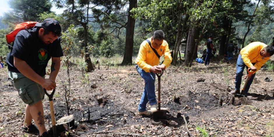 Voluntarios de Lapi Laboratorio Médico y la Brigada Forestal contribuyen en la jornada de reforestación en Huixquilucan.