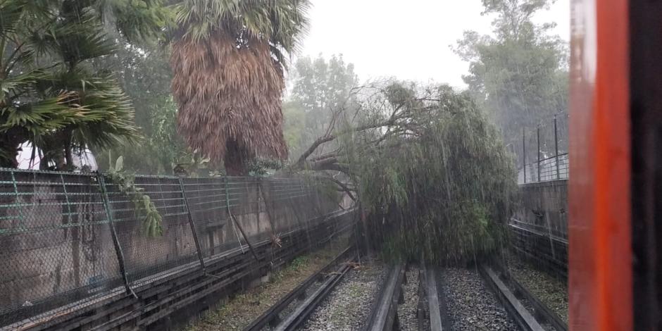 Árbol cae a vías de la Línea 5 debido a las fuertes lluvias de este martes en CDMX.
