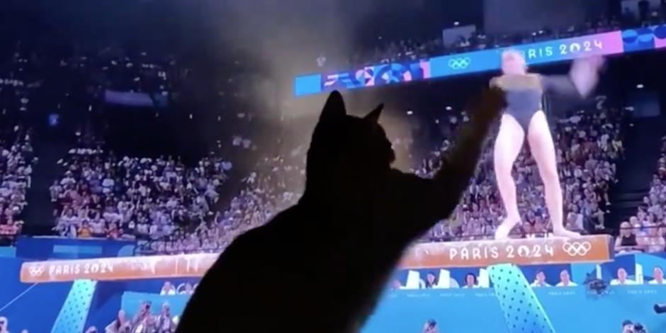 Un gato protagonizó un curioso momento cuando la gimnasta Kaylia Nemour estaba compitiendo en los Juegos Olímpicos.