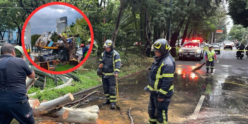 Fuertes lluvias provocan caídas de árboles en varias zonas de la CDMX.