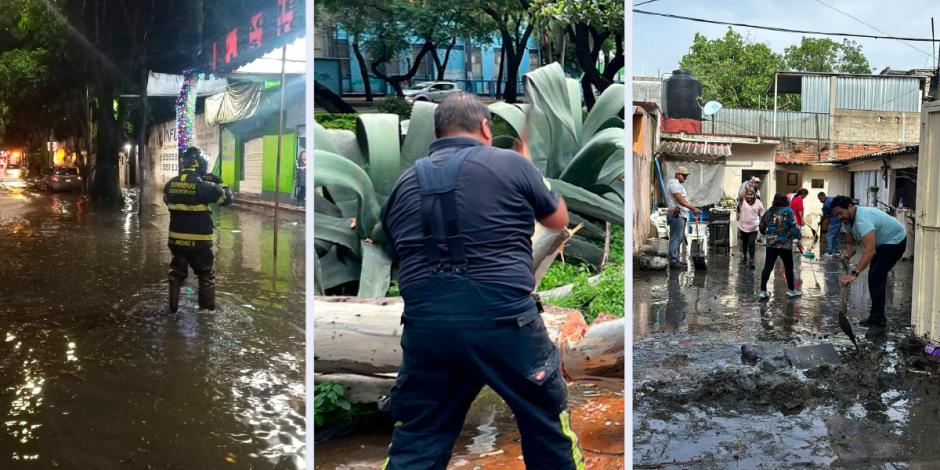 Anegaciones, árboles caídos y casas inundadas dejaron las tormentas, ayer.