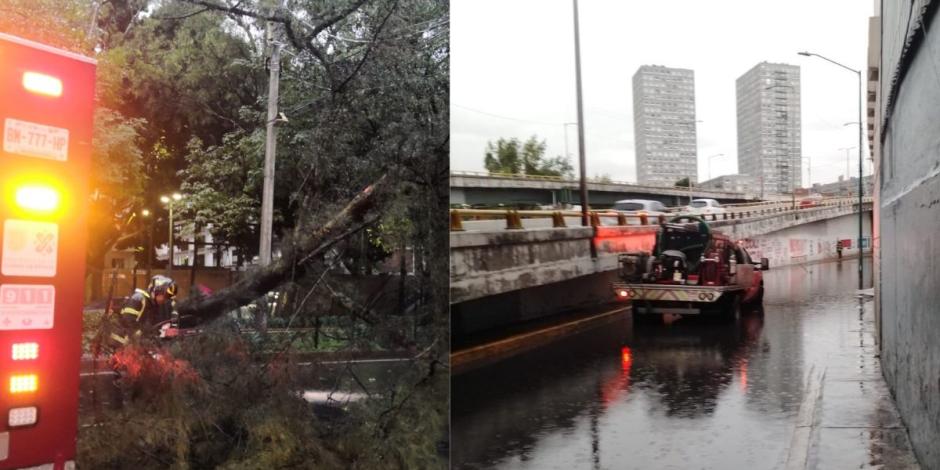 Fuertes lluvias causan encharcamiento y caída de árboles en CDMX.