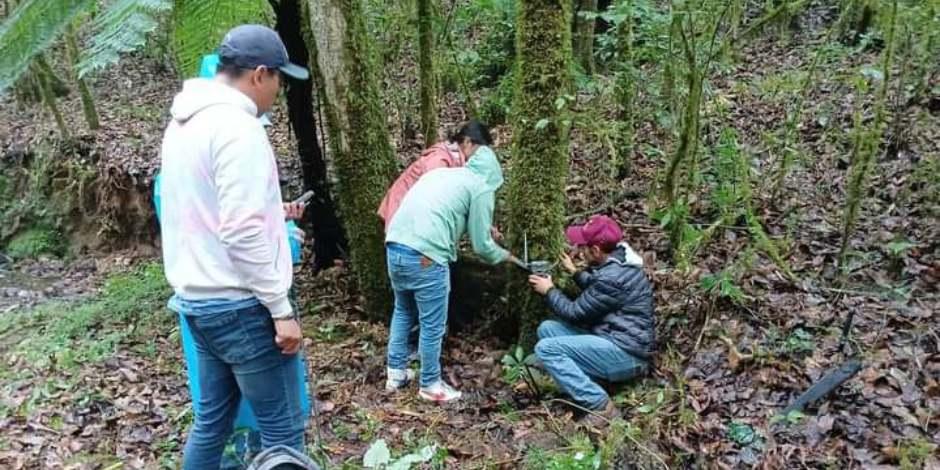 Refuerza Hidalgo la protección de la biodiversidad en la región Otomí-Tepehua.