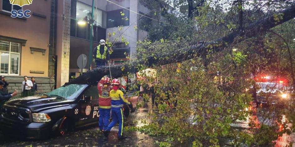 Tormenta tira árbol frente a la SSC y daña patrullas.