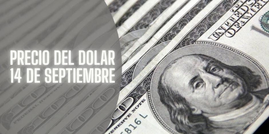 Este es el precio del dólar hoy 14 de septiembre de 2024.