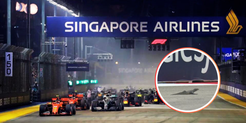 Las prácticas libres del GP de Singapur fueron interrumpidas por un lagarto