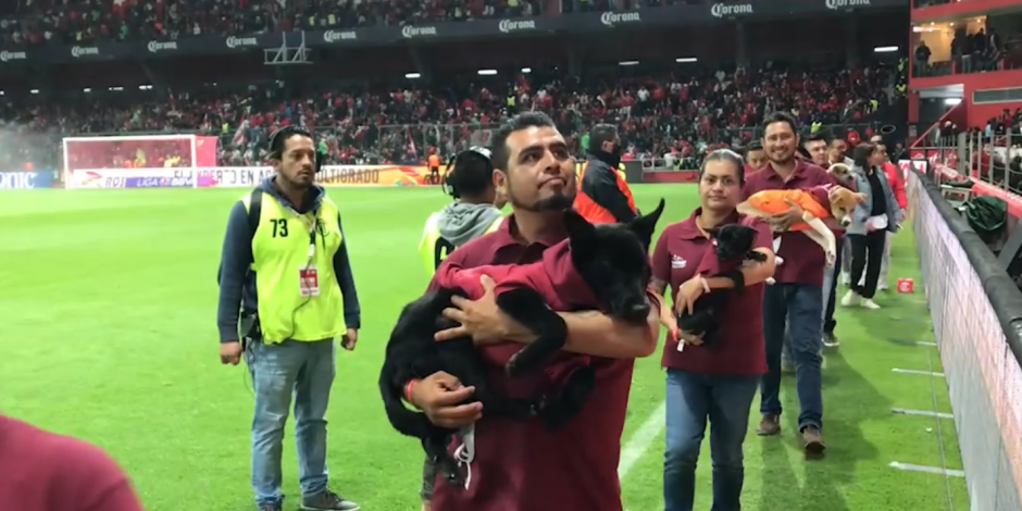 Toluca FC se suma a campaña de adopción animal en el Estado de México.