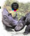 Cría de rinoceronte da esperanza a su especie