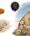 ¡Histórico! Nacen los primeros tres guepardos iraníes en cautiverio