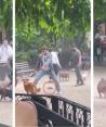 Rata provocó caos en parque de perros en Nueva York.