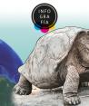 Sobrevive a la extinción tortuga gigante fantástica que se creía extinta hace 100 años
