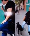 Medio Metro se gana el odio de la gente luego de patear a un perrito callejero