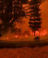 Emergencia en Chile. Sube a 23 cifra de muertos por incendios forestales