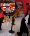 Acusan a empleado de cine de maltrato animal por sacar a un perrito de forma "cruel" de una sucursal en Morelia.