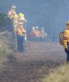 Personal de dependencias gubernamentales atienden los incendios forestales en México.
