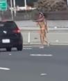 Una mujer desnuda dispara contra los automóviles en California