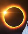 ¿Cómo afecta un eclipse solar a los animales?
