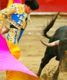 Regresan las corridas de toros a la Plaza México.