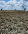 Nuevo León publica acuerdo por el que se expide el Programa Estatal de Cambio Climático.