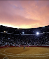 Tarde encantada para el cielo que despedía la reapertura de La México.