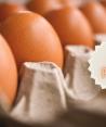 El kilo de huevo se vende en algunos lugares en 60 pesos.
