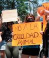 Activistas contra el maltrato animal se manifestaron afuera del Senado, ayer.