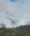 Combaten incendio en San Dimas, Durango.