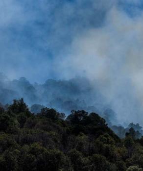 Anuncian que se realizarán mesas de trabajo para combatir incendios forestales en Edomex.