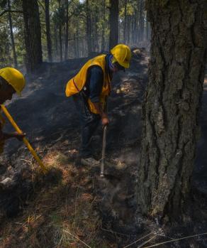 Brigadistas sofocan un incendio forestal.