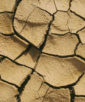 Imagen ilustrativa de sequía