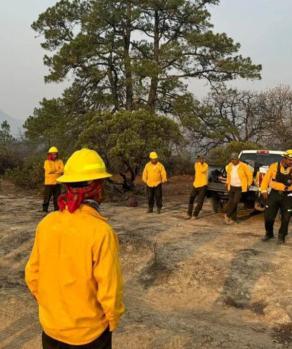 Intensifican labores para combatir incendio forestal en Santa María y Tierra Nueva, San Luís Potosí.