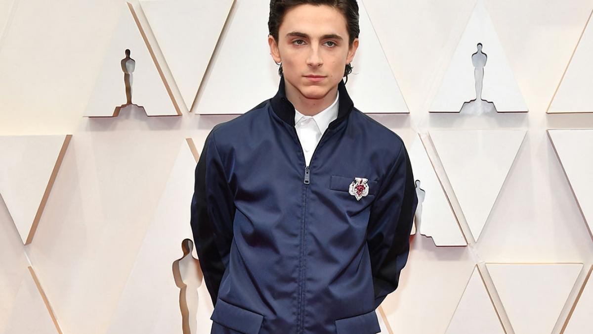 Timothée Chalamet sorprendió en los Oscars 2022 con traje de Luis