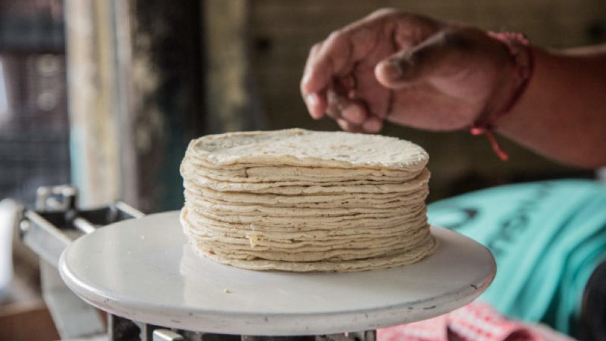 ¡entérate Kilo De Tortillas Se Vende Hasta En 15 Pesos