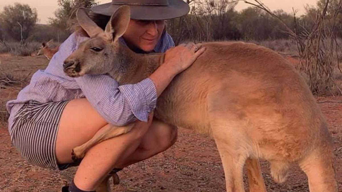 Amigos para siempre? Video de cachorrito dándole un abrazo a un canguro bebé  se hace viral — Rock&Pop