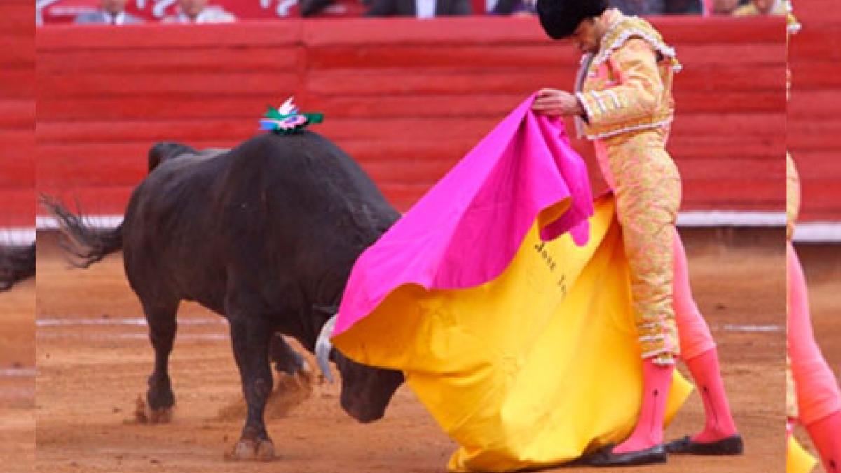 SCJN autoriza corridas de toros en la Plaza México