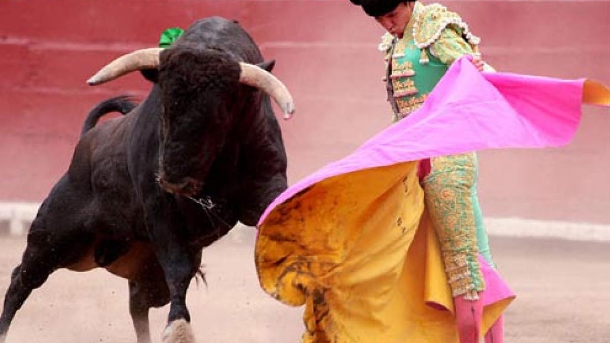 Corridas de toros no pueden ser patrimonio cultural de Nayarit: SCJN