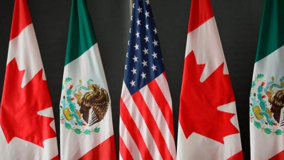 Indagan presuntos abusos laborales contra 40 mexicanos en Canadá