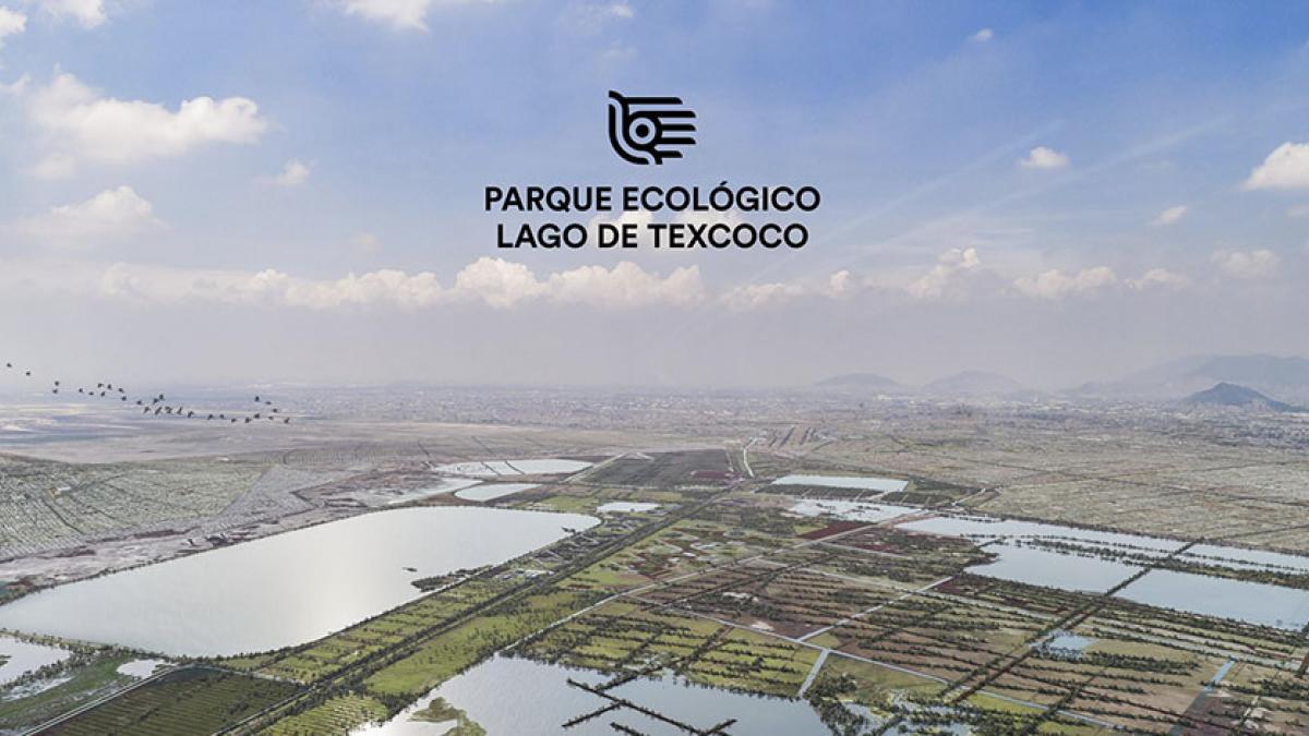 Parque Ecológico Lago Texcoco Listo En 2021 Conoce El Proyecto 9354