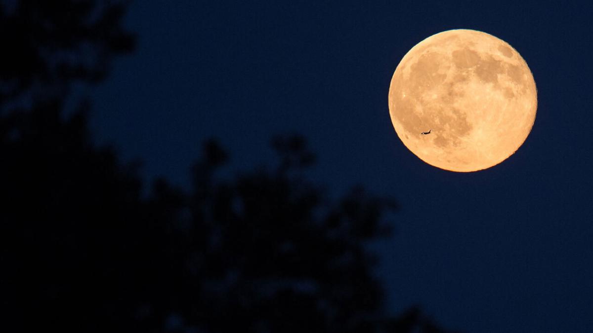 Luna de Lobo: ¿Cuándo y a qué hora se podrá ver la primera Luna llena de 2024?